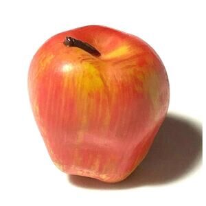 American Girl RED APPLE ACCESSORY Horse Care Kit's School Lunch Box